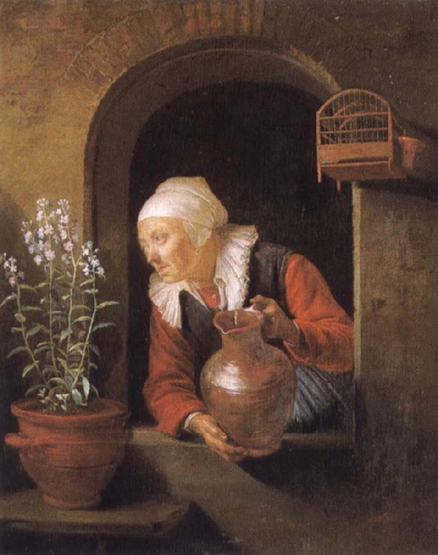Gerard Dou Old woman at her window,Watering flower France oil painting art